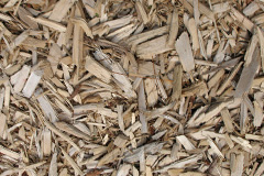 biomass boilers Polgear