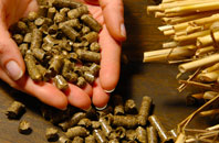 free Polgear biomass boiler quotes